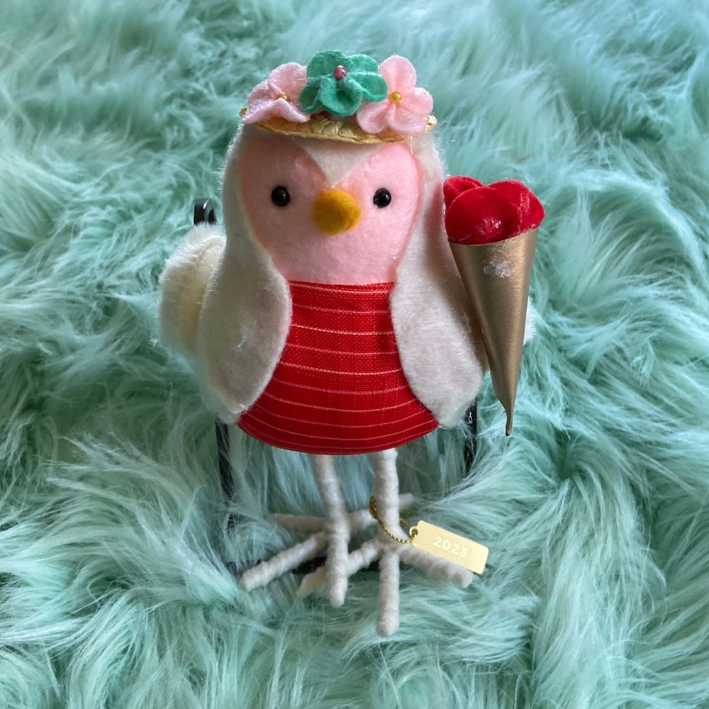 Target Valentines bird 2023 Jet